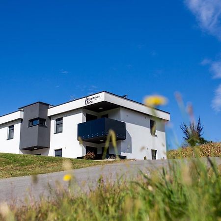 Apartments Dora Sveti Martin Na Muri Ngoại thất bức ảnh