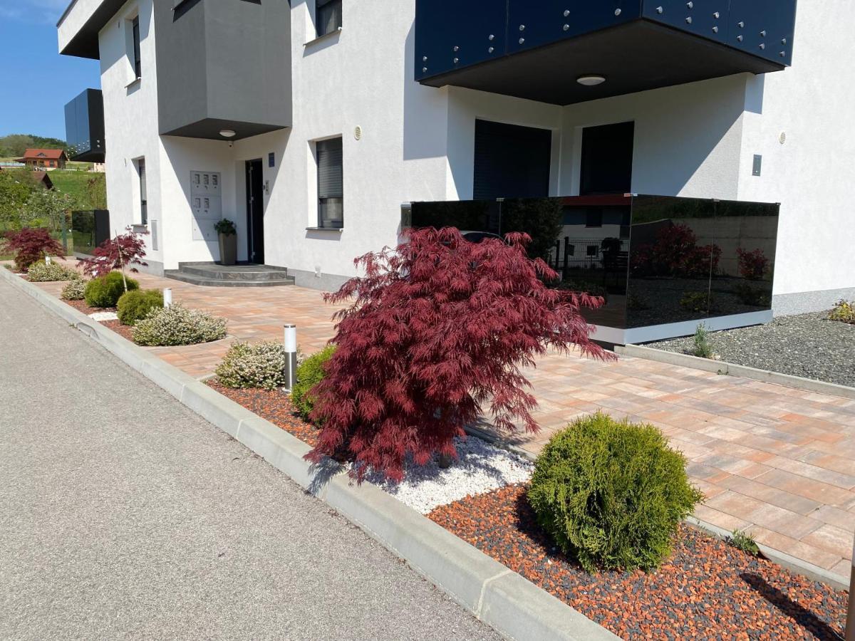 Apartments Dora Sveti Martin Na Muri Ngoại thất bức ảnh